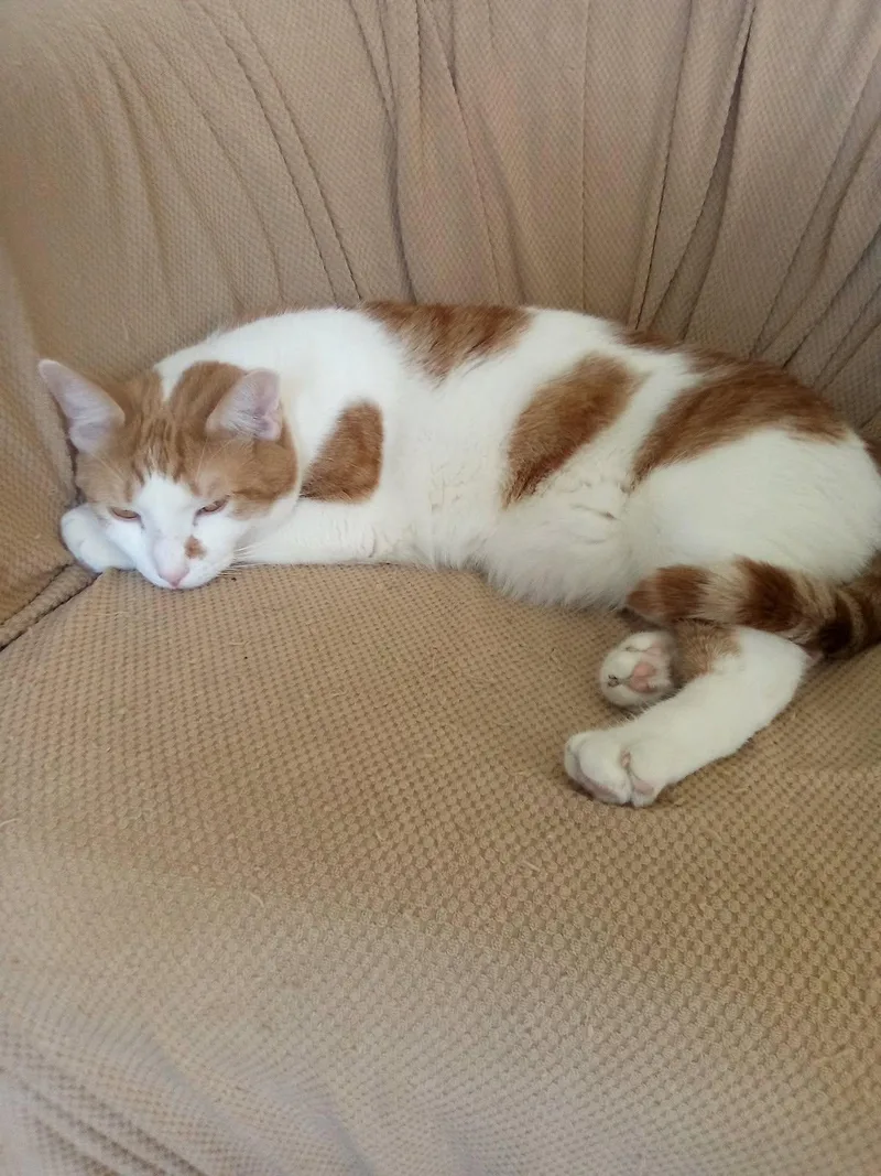 Parker & Niles thumbnail 3