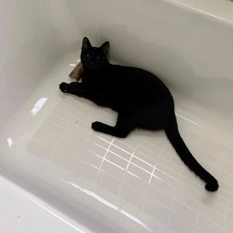 Tofu Satay thumbnail 3