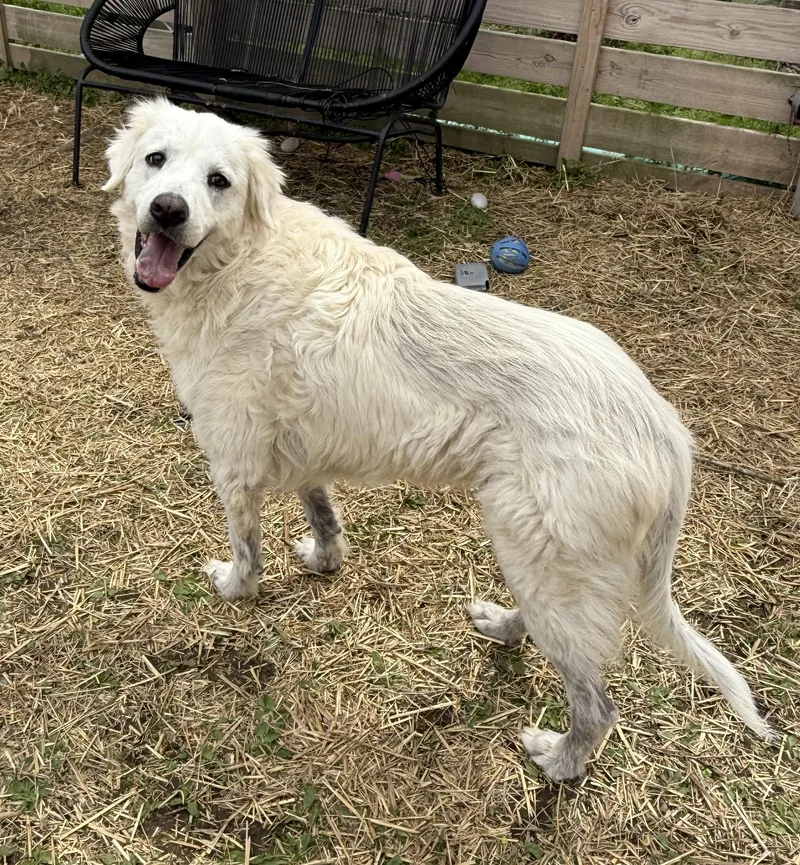 Hansel & Gretel thumbnail 2