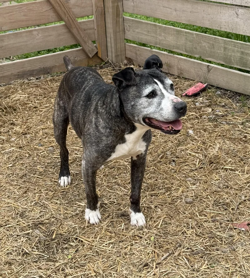 Hansel & Gretel thumbnail 3