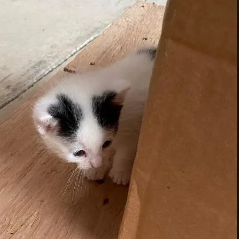 Spots thumbnail 2