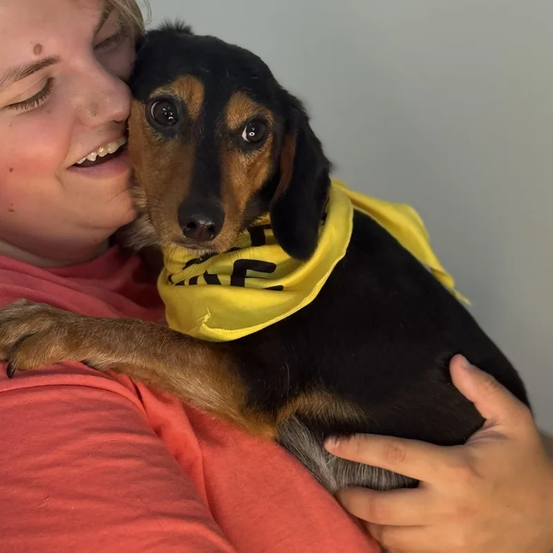 Salty Dog thumbnail 3