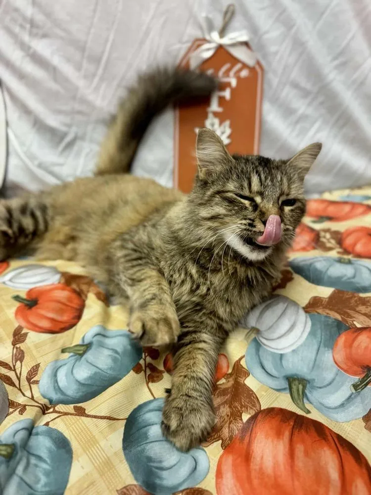 Watermelon thumbnail 3