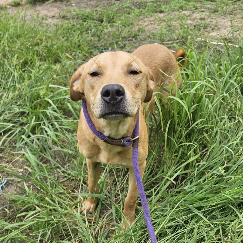 Birch  Co thumbnail 5