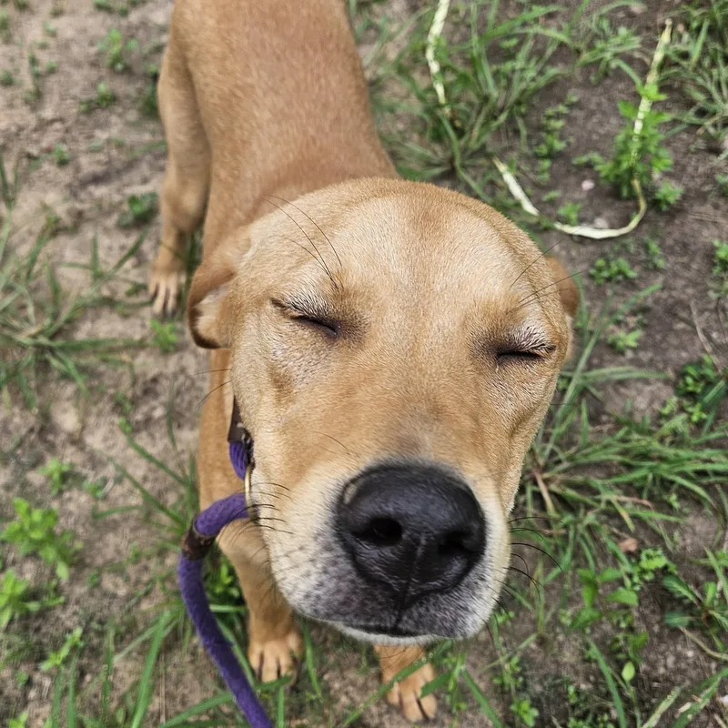 Birch  Co thumbnail 6