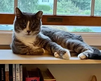 Precious thumbnail 2