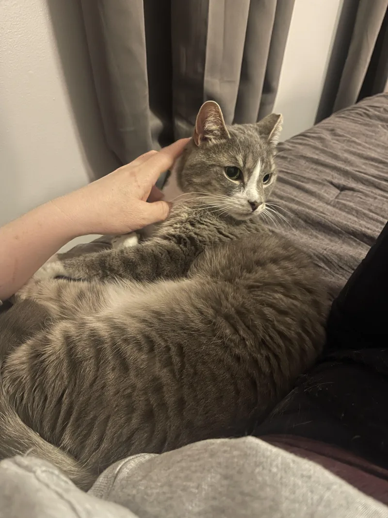 Precious thumbnail 3