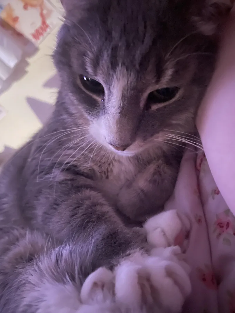 Precious thumbnail 4