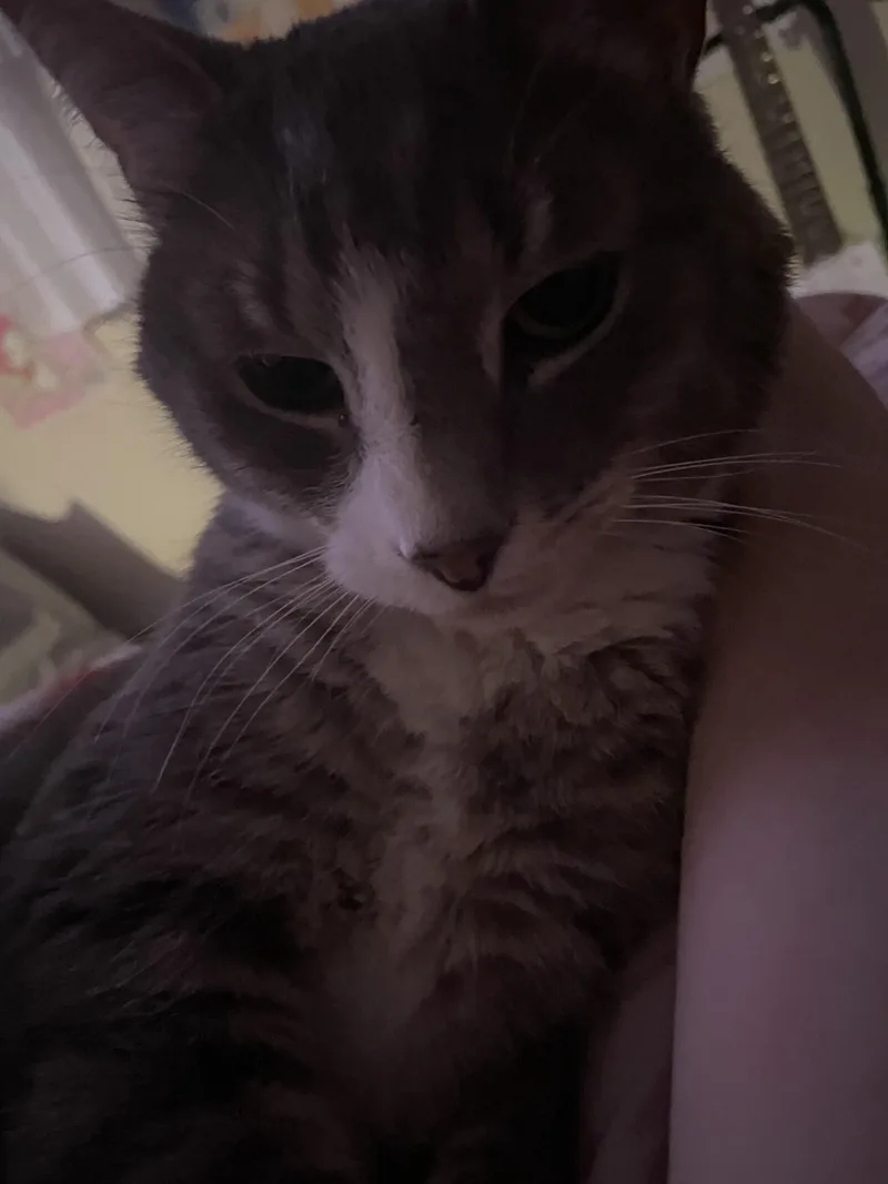 Precious thumbnail 5