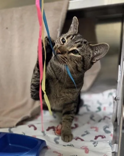 Dr. Drew thumbnail 2