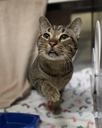 Dr. Drew thumbnail 3