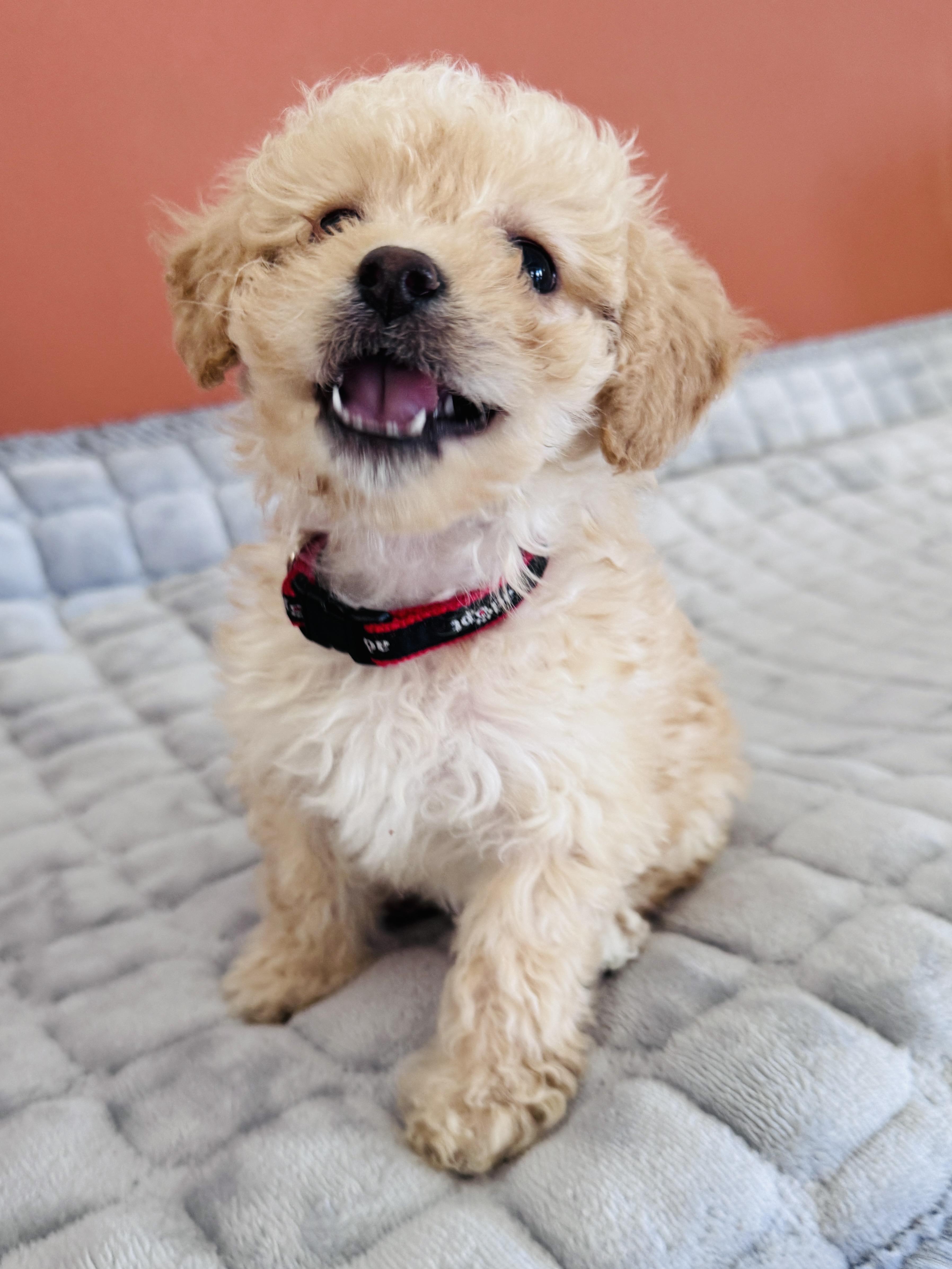 Lucy Lu thumbnail 2