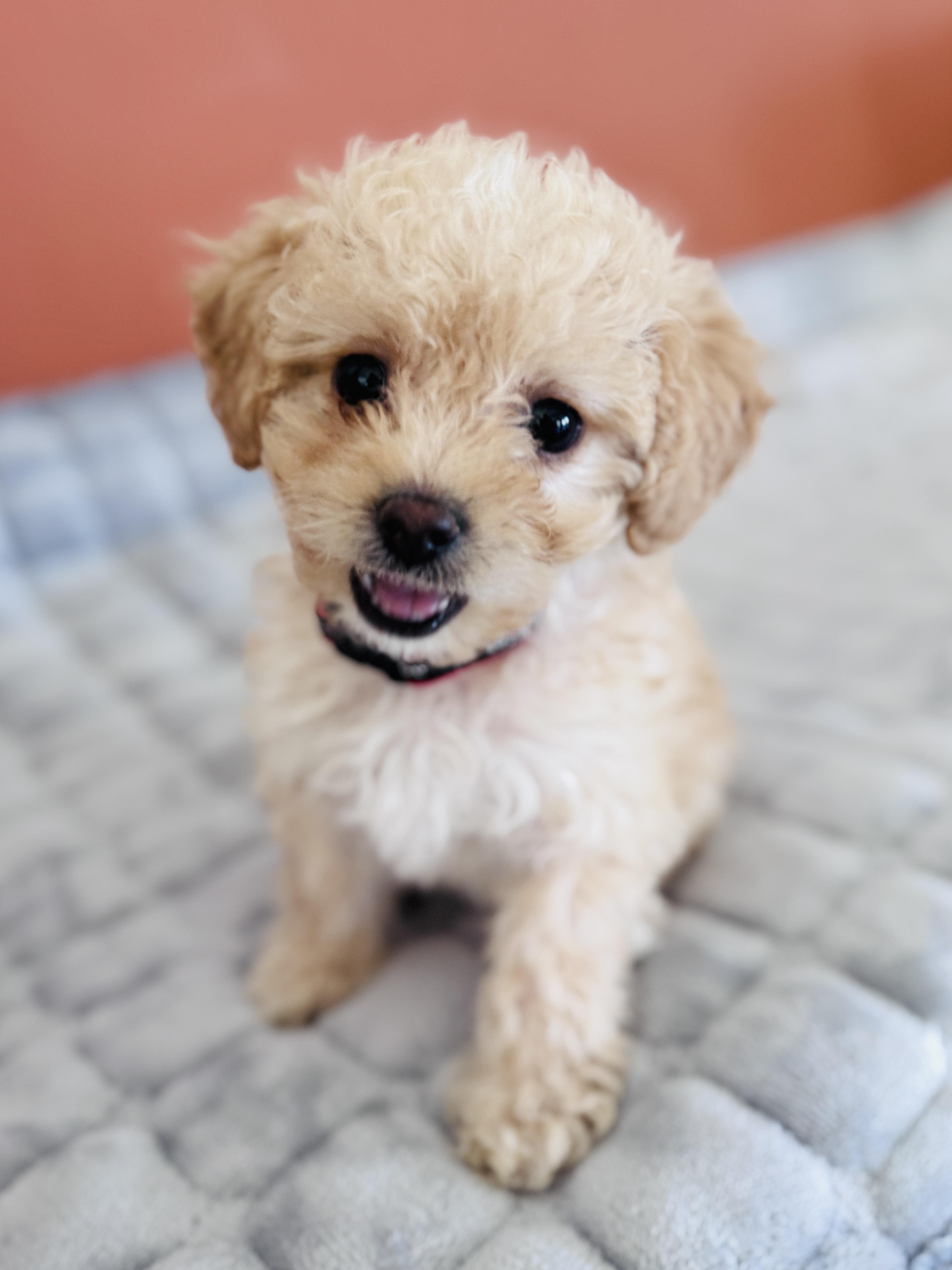 Lucy Lu thumbnail 6