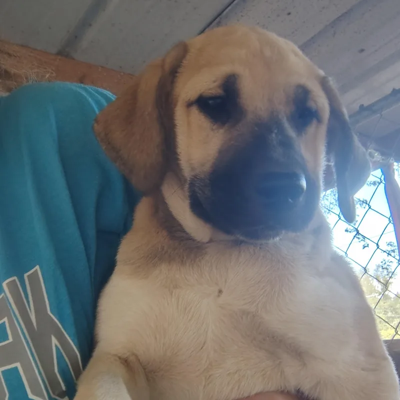 Mercedes thumbnail 3