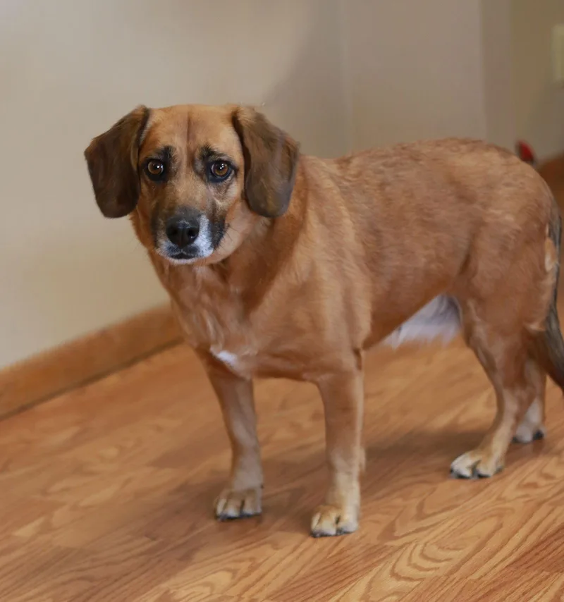 Lady Jane thumbnail 2