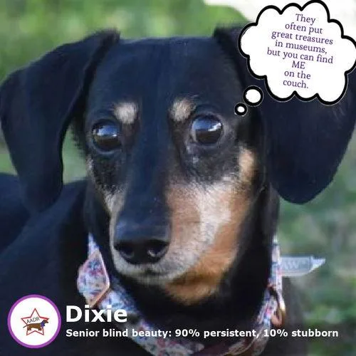 Dixie In Tn thumbnail 2