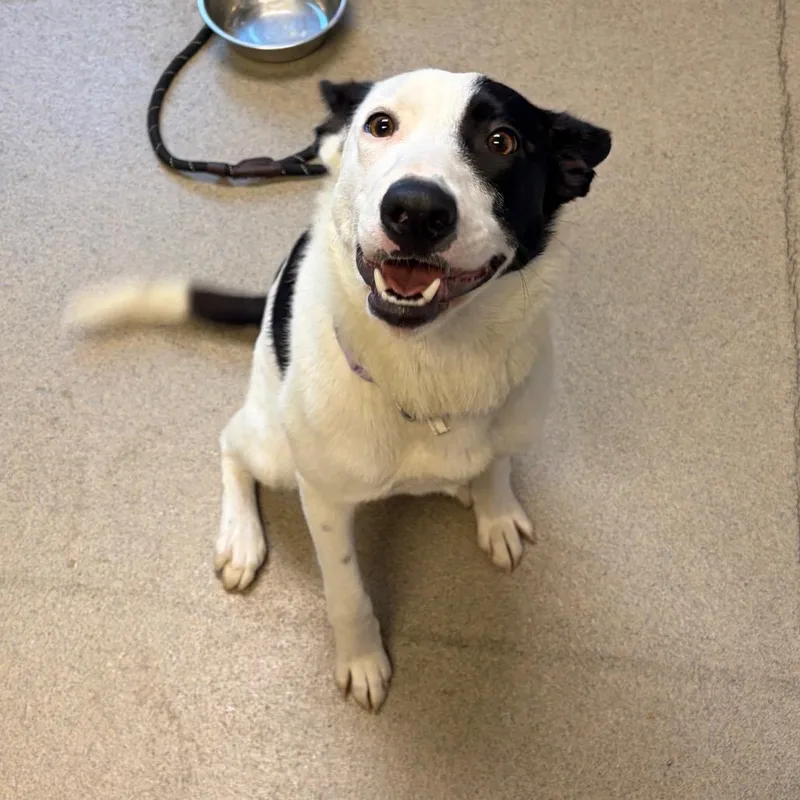 Julianna thumbnail 2