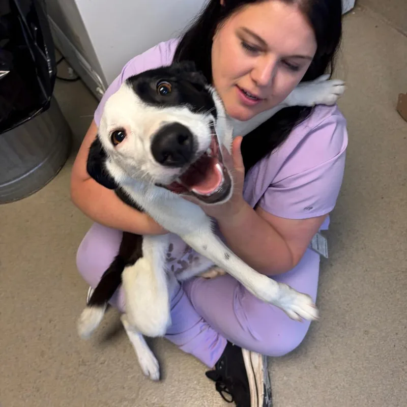 Julianna thumbnail 3