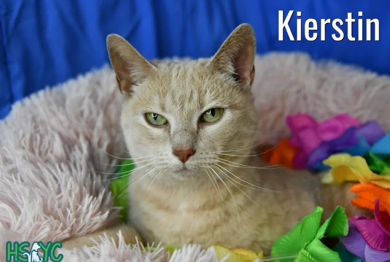 Kierstin thumbnail 2