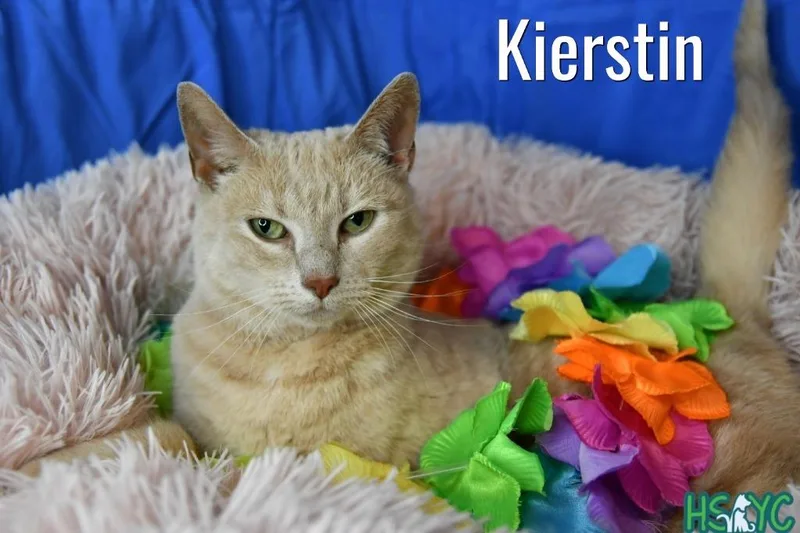 Kierstin thumbnail 3
