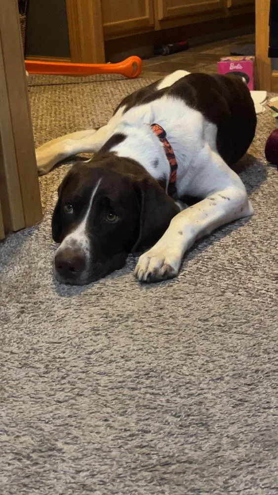 Tucker thumbnail 3