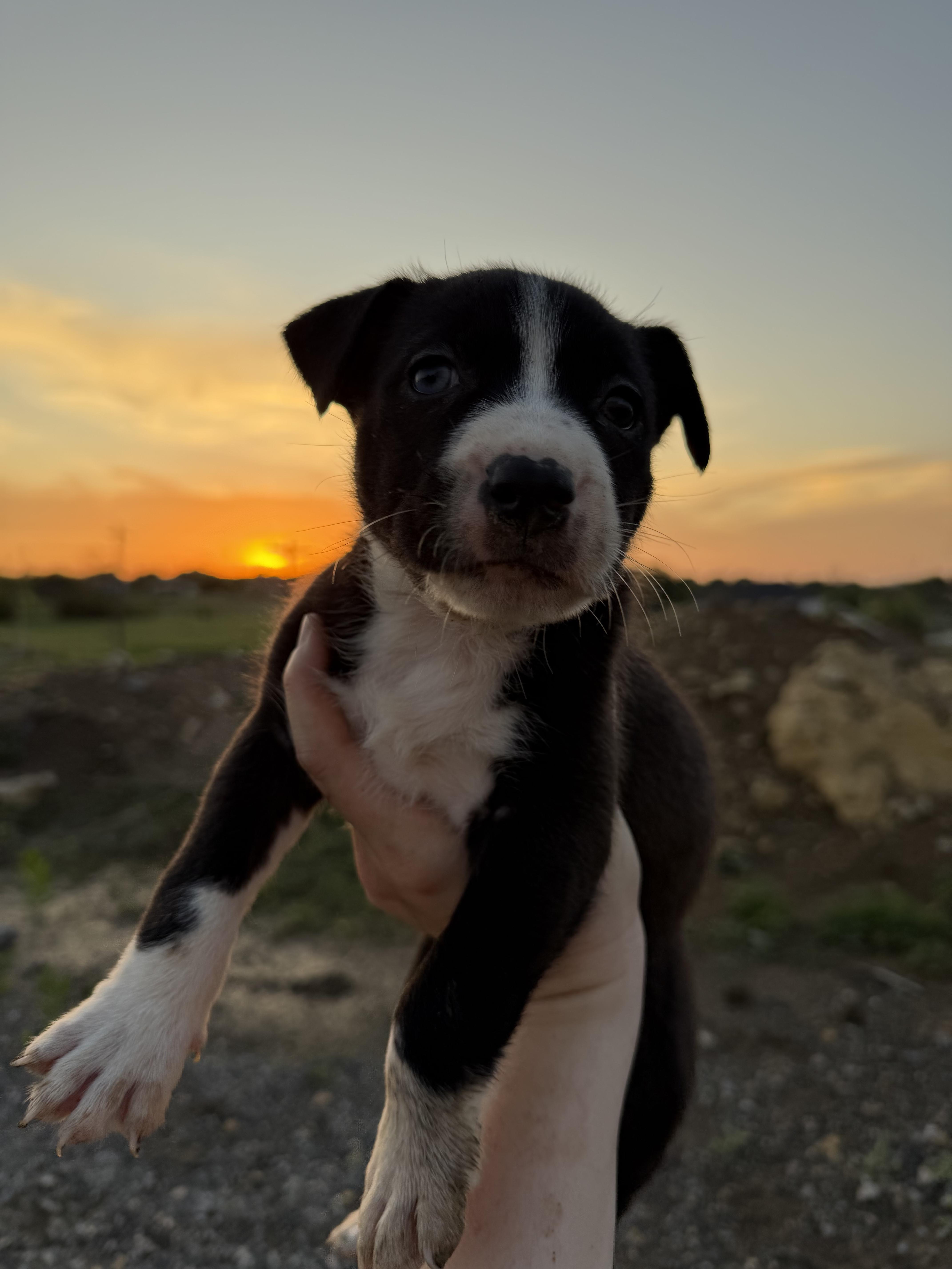 Ms.bella thumbnail 4