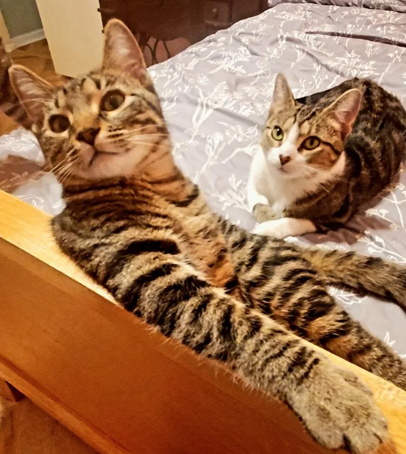 Sweetheart thumbnail 2