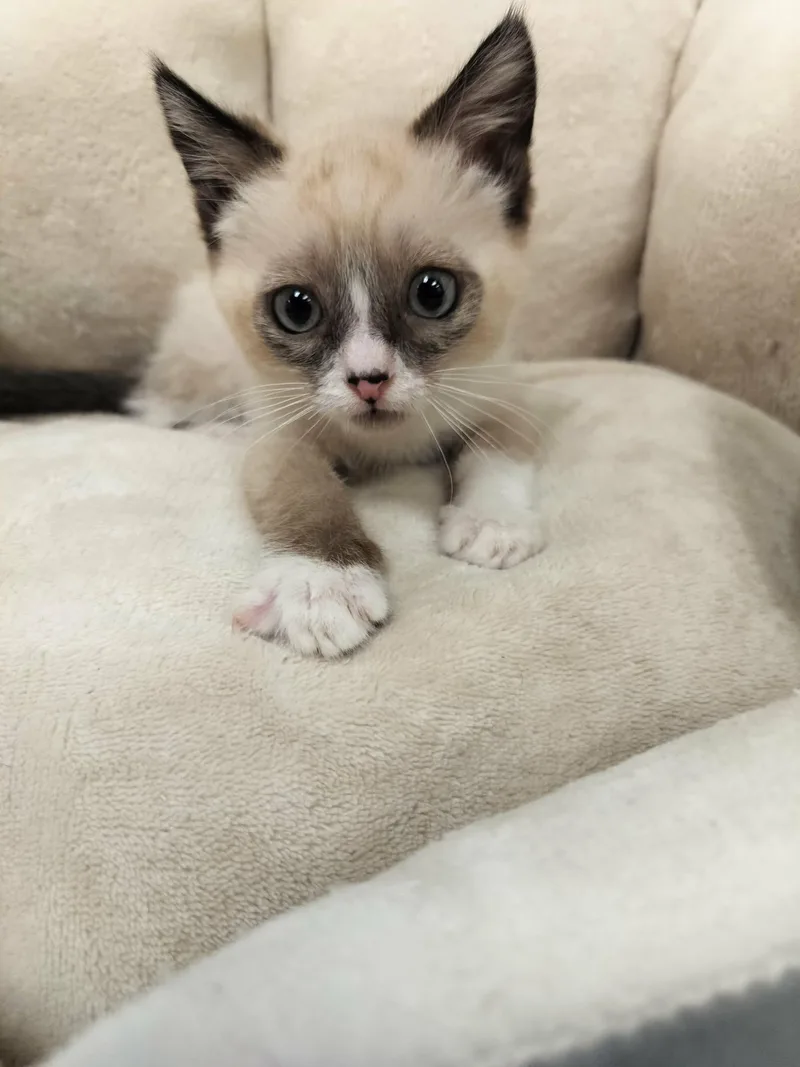 Milo