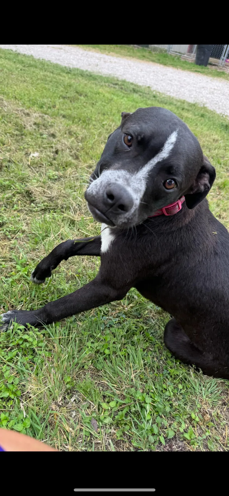 Costello thumbnail 2