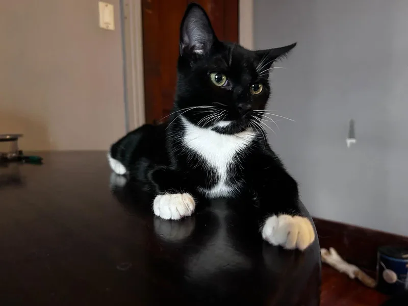 Foundling thumbnail 2