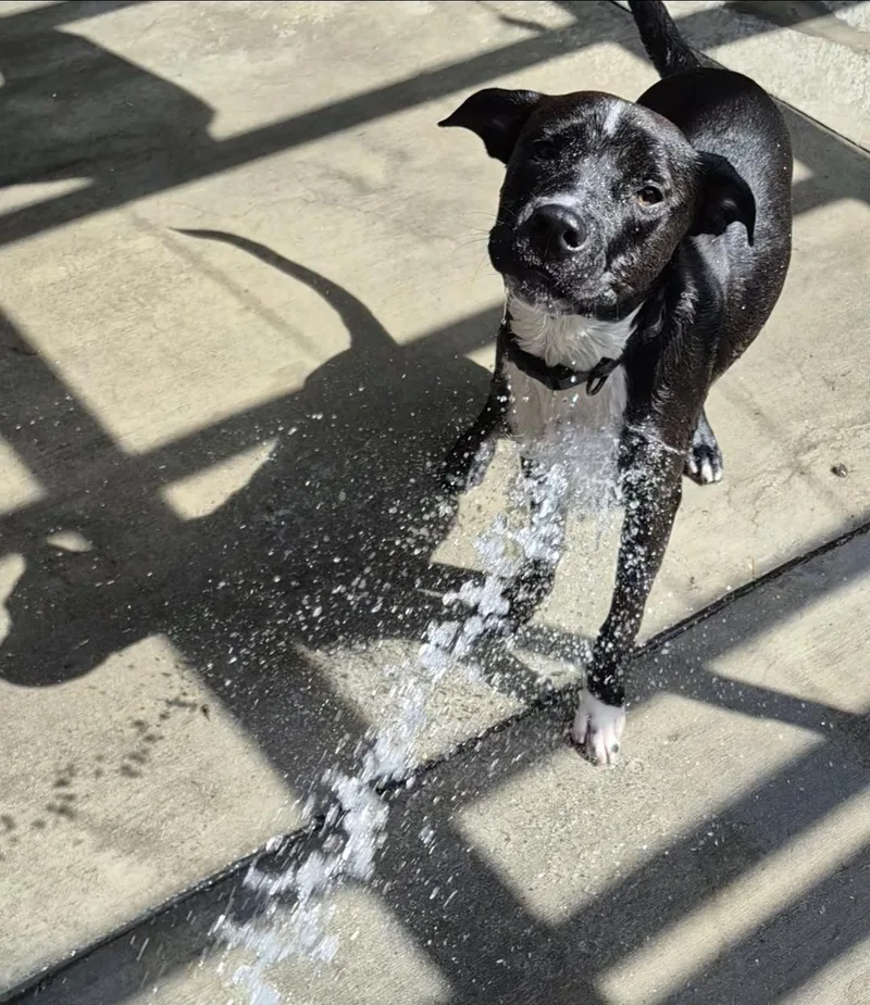 Luca Loves Water thumbnail 2