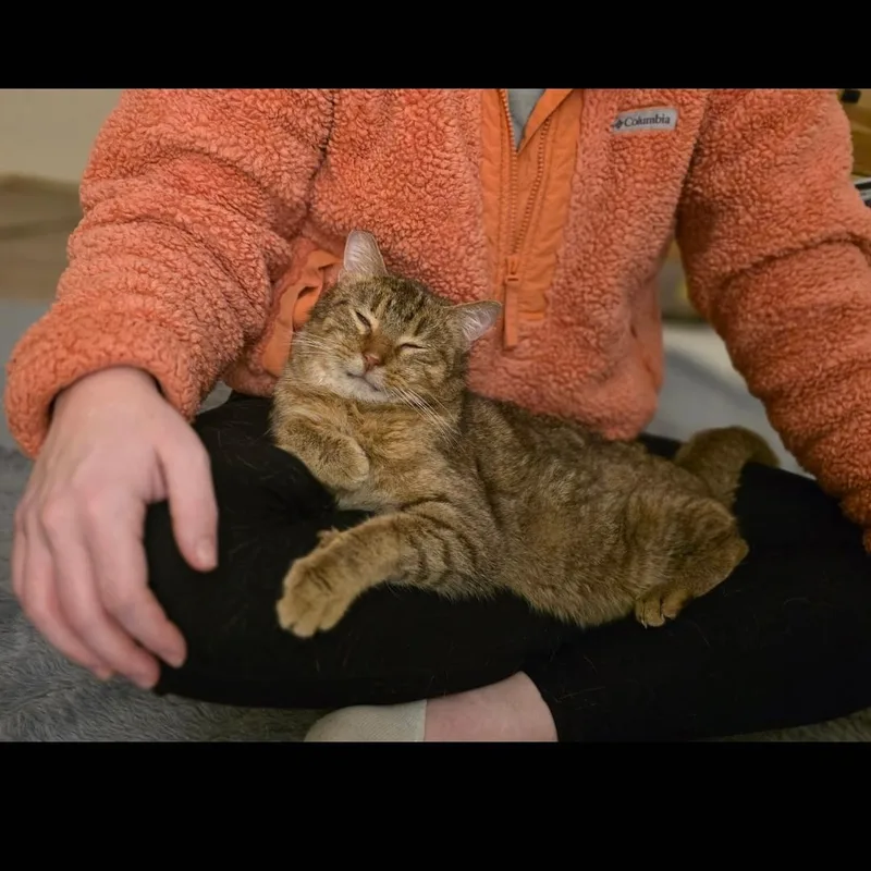 Norman thumbnail 6