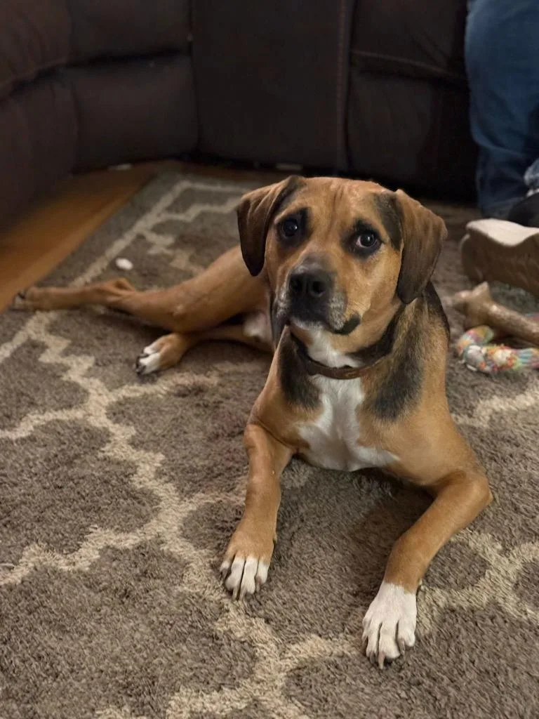 Cubby Joe thumbnail 2