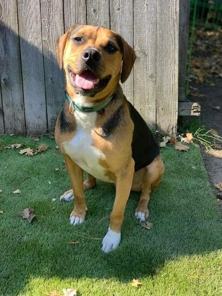 Cubby Joe thumbnail 3