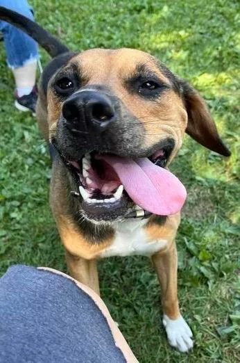 Cubby Joe thumbnail 4