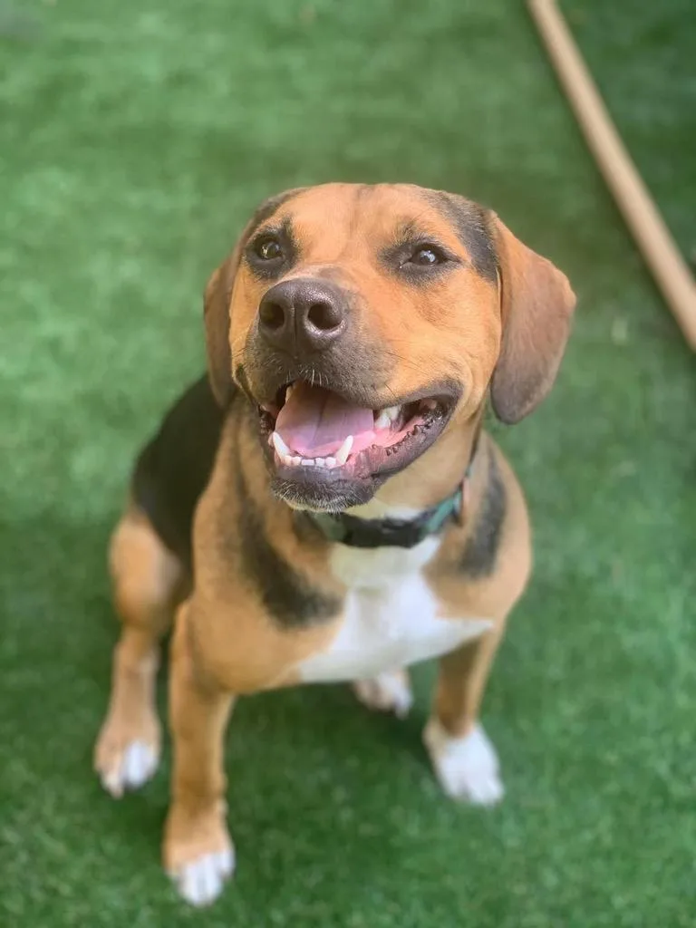 Cubby Joe thumbnail 5