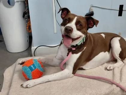 Coco thumbnail 3