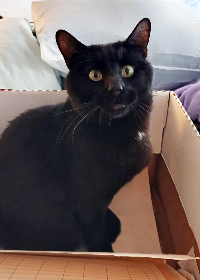 Sundance thumbnail 3