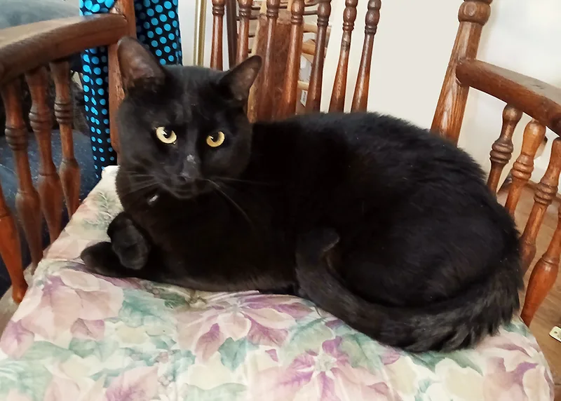 Sundance thumbnail 4