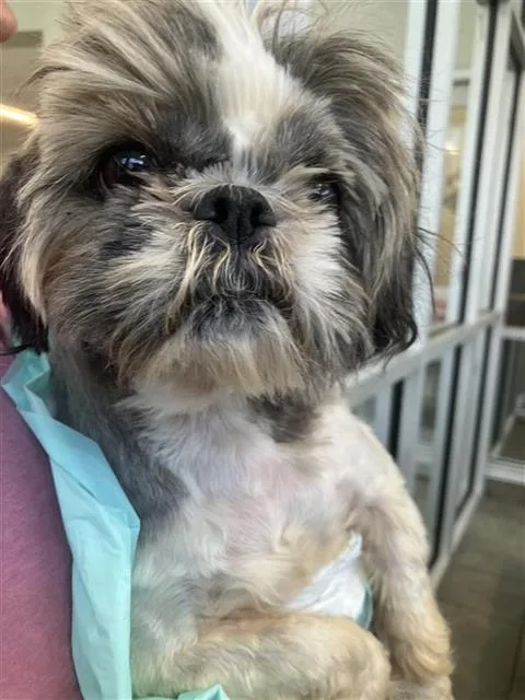 Chloe