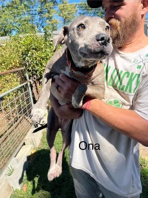 Ona