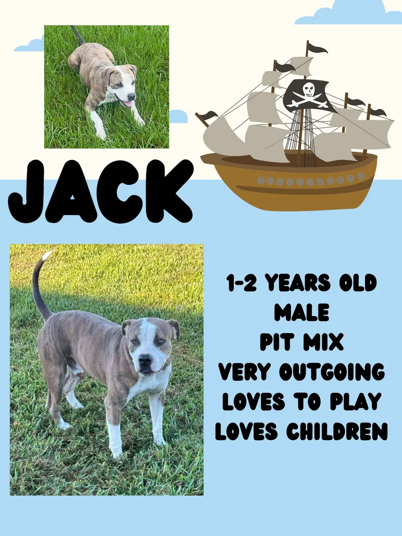 Jack