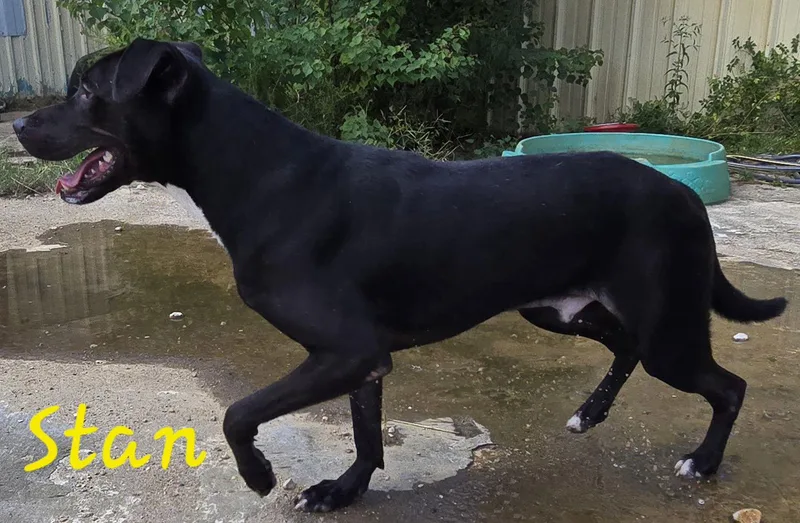 Stan Marsh thumbnail 2