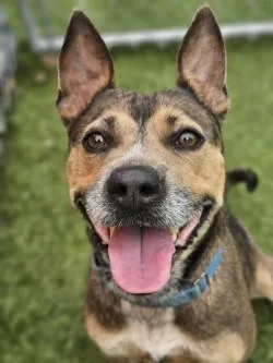 Lady Bug thumbnail 2