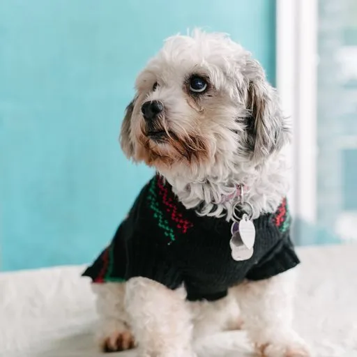 Princesa thumbnail 2