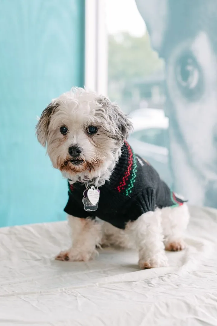 Princesa thumbnail 4