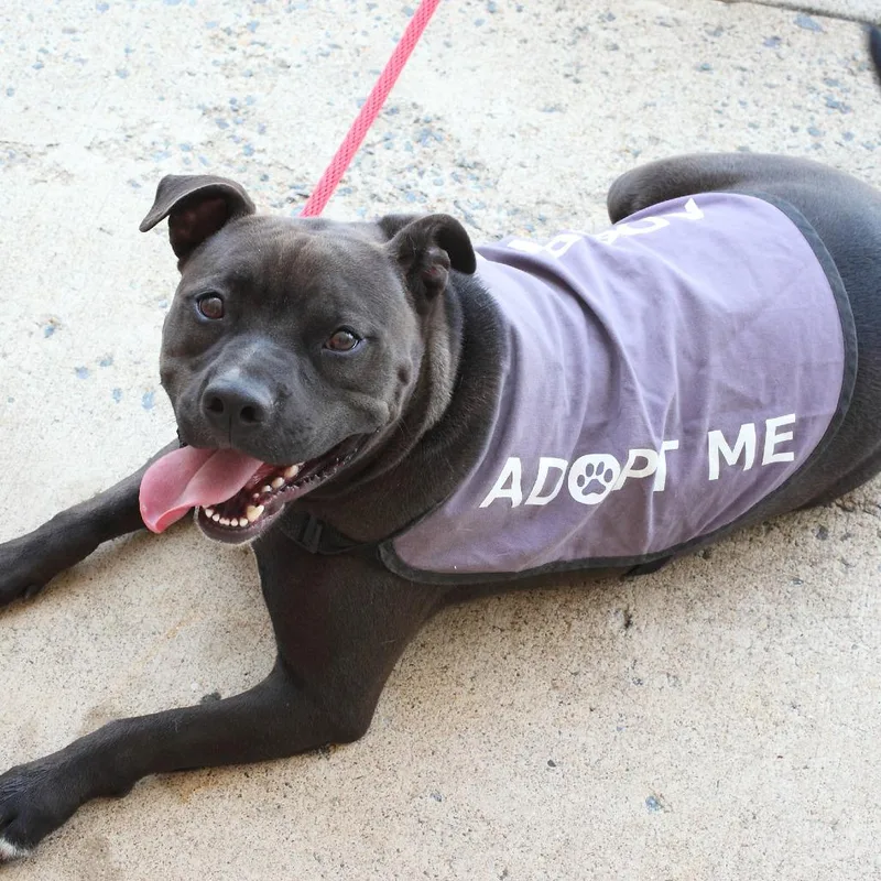 Maverick thumbnail 3