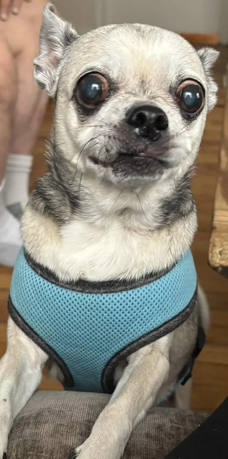 Peggy thumbnail 2