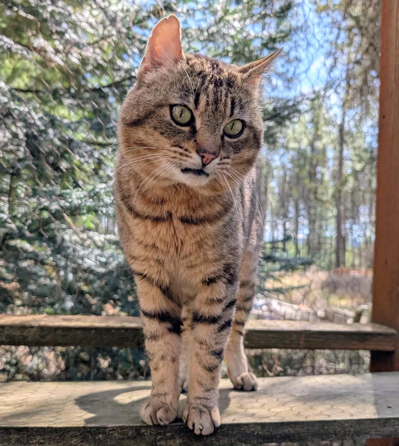 Ulysses Mr. Personality! thumbnail 3