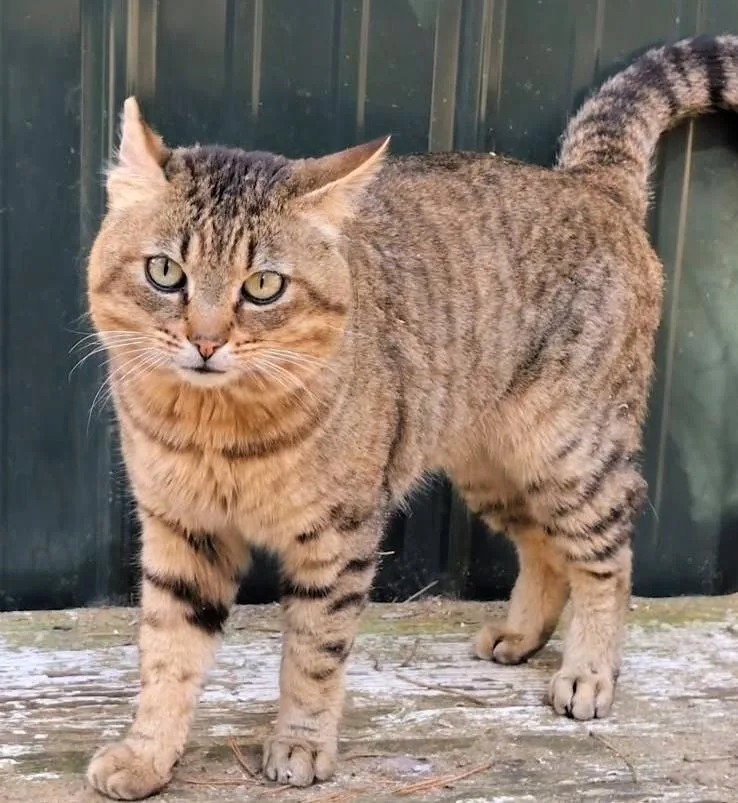 Ulysses Mr. Personality! thumbnail 4